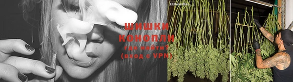 каннабис Сосновый Бор
