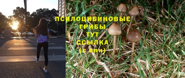 экстази Горно-Алтайск