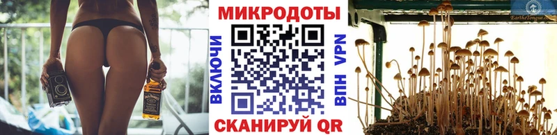 Псилоцибиновые грибы Magic Shrooms  МЕГА зеркало  Нижняя Салда 
